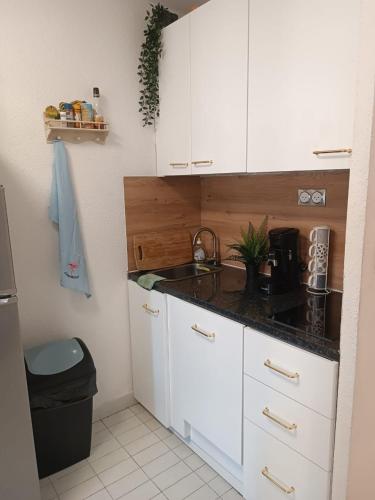 Agréable studio en bord de mer