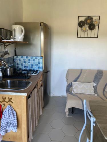 a kitchen with a sink and a refrigerator at Le rêve chrysalide in Masseret
