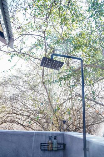 a street light in front of a tree at Amani Luxury Villa Marloth Park in Marloth Park