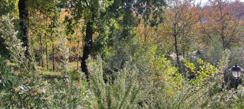 a park with trees and a light in the middle at Saecula Natural Village Experience in Force