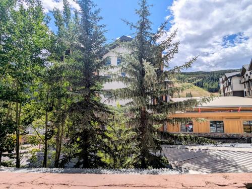 a large tree in front of a building at Springs 8846 by SummitCove Lodging in Keystone