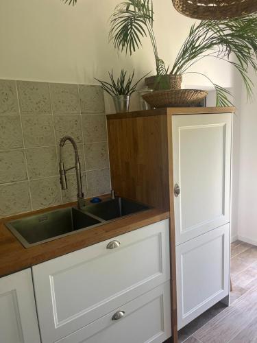 a kitchen with a sink and a counter with potted plants at Between city and countryside in Maisons-Laffitte