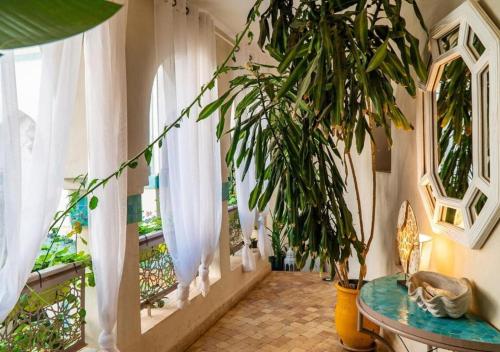 a hallway with a table and a plant and windows at Dar Mogador Sun near Taghazout - Surf, Sea, colorful village in Taghazout