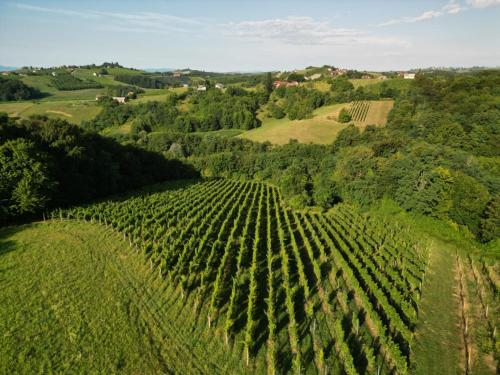 an aerial view of a vineyard in the hills at Ruralna kuća za odmor Julijana in Štrigova