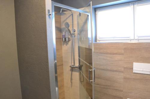 a shower with a glass door in a bathroom at Apartmány Špacír celý dům in Harrachov
