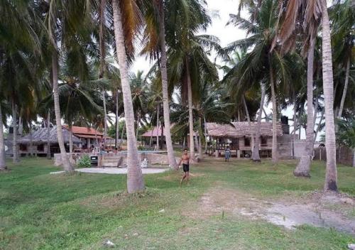 a person standing in a field with palm trees at Genge Lake Resort - Kalpitiya in Pallivasalturai