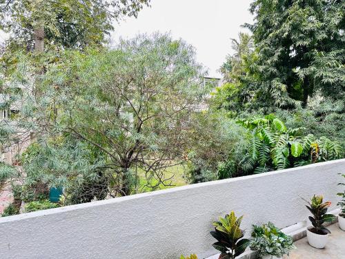 a white fence with some plants and trees at Grove Residency Hauz Khas Couple Friendly New Delhi in New Delhi
