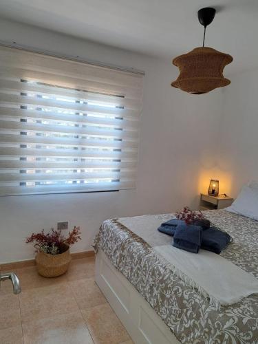Oasis en Corralejo