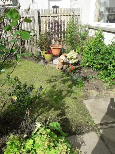 a garden with a teddy bear sitting in the yard at 3 bed self contained part house in Queensferry, Edinburgh in Queensferry