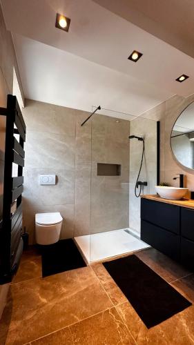 a bathroom with a shower and a toilet and a sink at Magnifique appartement centre ville de Besançon in Besançon