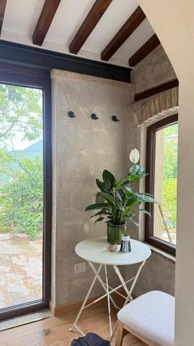 a table with a plant in a room with a window at La Sorgiva in Assisi