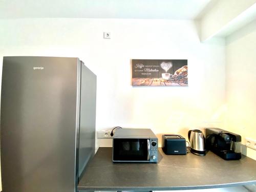 艾兴策尔Barock Living Fulda的厨房柜台配有冰箱和微波炉。