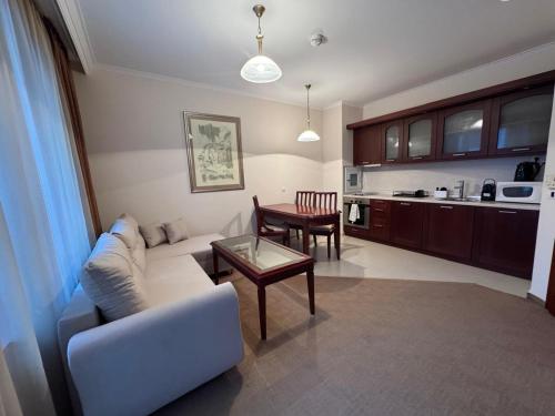 Kuchyň nebo kuchyňský kout v ubytování Downtown Bansko Resort