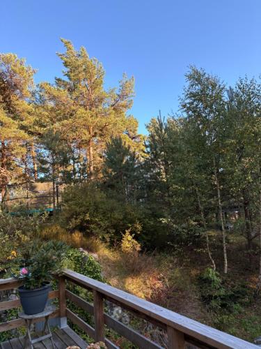 a wooden deck with trees in the background at Villa Villekulla in Åhus