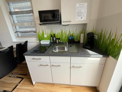 ルストにあるKern Apartmentsのシンクと電子レンジ付きのキッチン