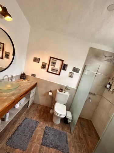 a bathroom with a sink and a toilet and a shower at El Satélite in Cordoba