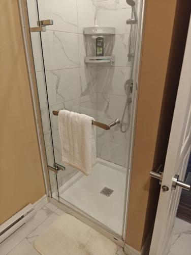 a shower with a glass door and a towel at Appartement sur deux niveaux in Quebec City