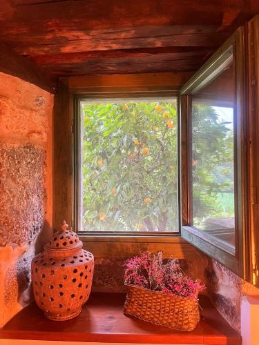 a window with two vases sitting on a window sill at Hotel Boutique Villa de Palacios - Palacio de Aras in San Miguel de Aras
