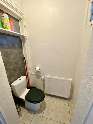 a small bathroom with a toilet with a green lid at Charmant 3 pièces in Saint-Claude