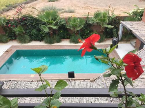 a swimming pool with a red flower in front of it at Villa Roseaux heated pool Marrakech in Najem