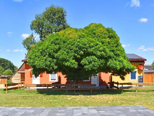 Zahrada ubytování Charmante Ferienwohnung in der Oase am Vilzsee