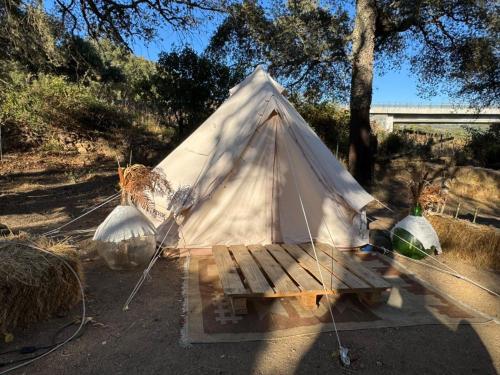 a canvas tent with a bench in a field at Azienda Agricola Veldidonna in Aggius