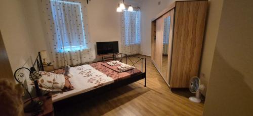 a bedroom with a bed in a room with windows at Retro apartament in Arad
