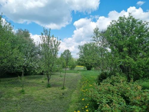 a field with trees and yellow flowers and clouds at Enjoy forest tranquility & panoramic views 