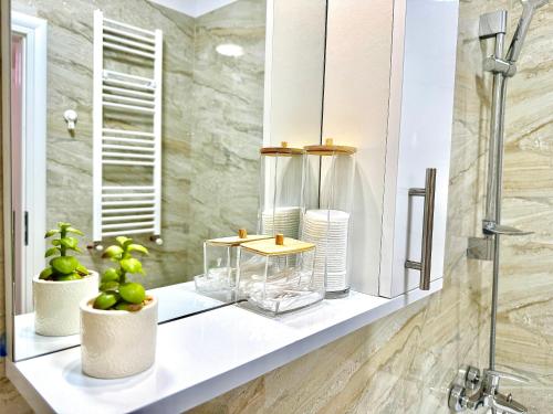 ブカレストにあるZenith Central Address Apartment with Parkingのバスルーム(植物の置かれたカウンター付)