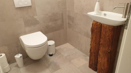 a bathroom with a toilet and a sink at Ferienwohnung am Dorf in Frontenhausen