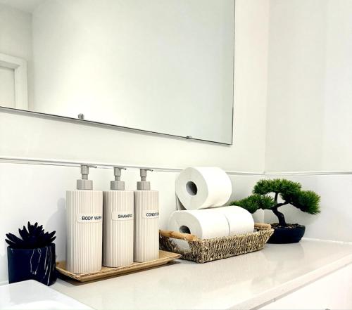 ein Badezimmer mit Rollen Toilettenpapier und einem Spiegel in der Unterkunft Contemporary Designer 2 Bed Apartment, Free Parking, Gym, Yoga & Cinema Room in Bedford