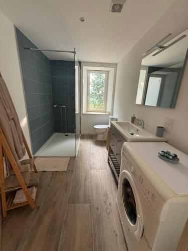 a bathroom with a washing machine and a shower at Domaine St georges in Lazer
