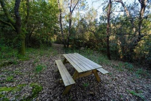 a wooden picnic table in the middle of a forest at One Bedroom Chalet with private bathroom and kitchen in Alcobaça