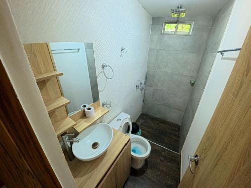 a small bathroom with a sink and a toilet at CountrySide Stay Melina in San Mateo