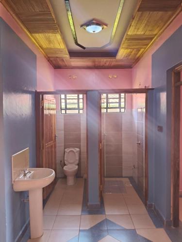 a bathroom with a toilet and a sink at Balozi Homes Nyeri in Nyeri