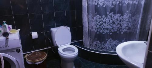 a bathroom with a toilet and a sink and a shower curtain at ELENA HOUSE kONTUATI in Khoni