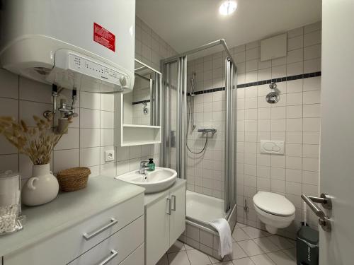 a bathroom with a toilet and a sink and a shower at Altstadt-Romanze in Coburg
