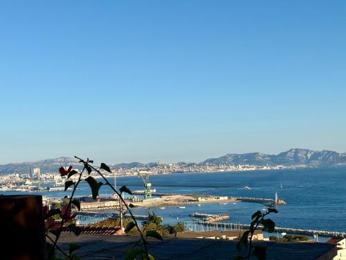Magnifique vue sur la mer ... photo 26