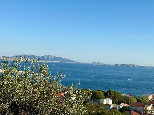 Magnifique vue sur la mer ... photo 22