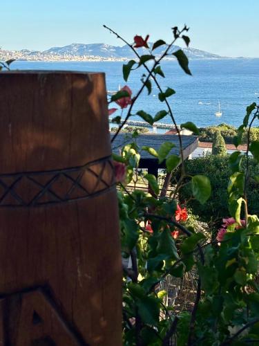 Magnifique vue sur la mer ... photo 19