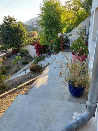 Magnifique vue sur la mer ... photo 10