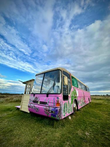 Fotografie z fotogalerie ubytování Bus Casa en observatorio de aves v destinaci Puerto Montt