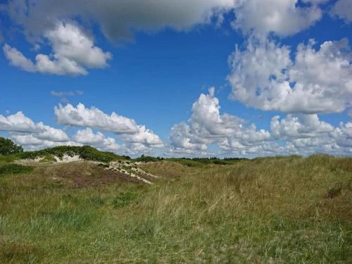a field of grass with a blue sky and clouds at Charming Family Retreat - By Traum Ferienwohnungen in Hals
