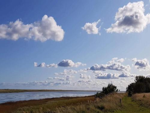 a view of a river with clouds in the sky at 4 star holiday home in Hals-By Traum in Hals