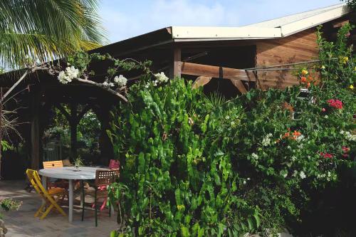 Les chalets Colibris - Anse Figuierにある庭