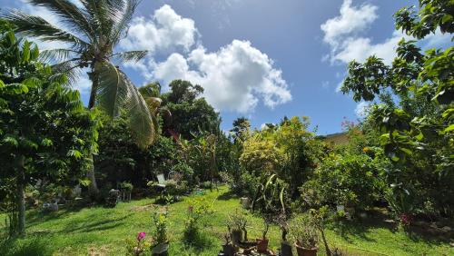 Les chalets Colibris - Anse Figuierにある庭
