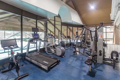 Fitness centrum a/nebo fitness zařízení v ubytování Gym,Pool,PetFriendly,KingBeds