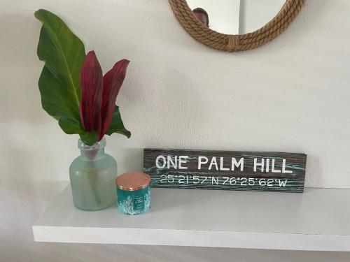 Fotografie z fotogalerie ubytování One Palm Hill villa v destinaci Colebrooke Dale