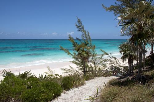 a path to the beach with palm trees and the ocean at Tourmaline home in Governorʼs Harbour