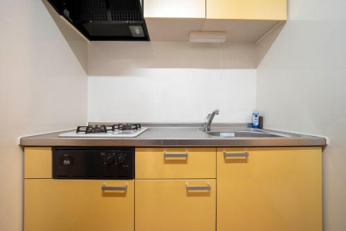 a kitchen with a sink and a stove at Lambrusco in Kami-furano
